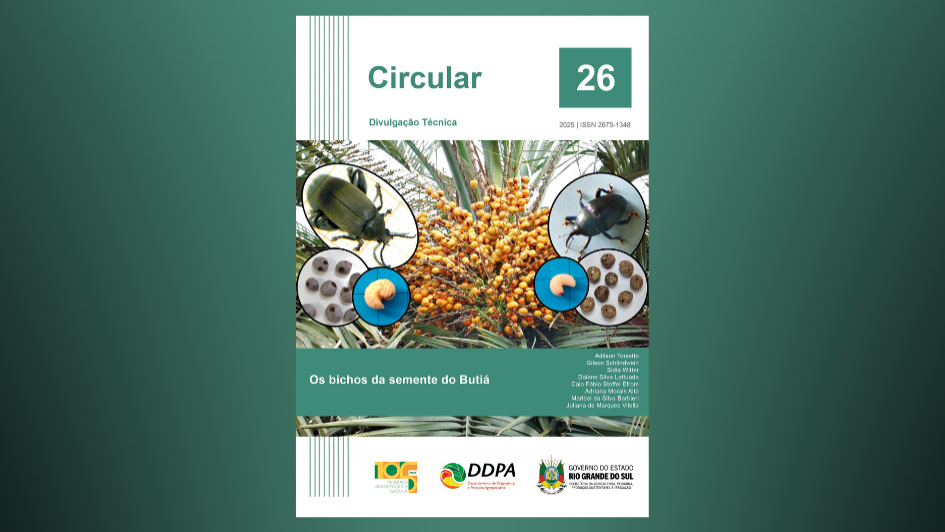 Capa site circular 26 sobre butiás