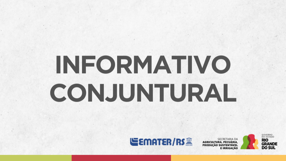 Informativo Conjuntural