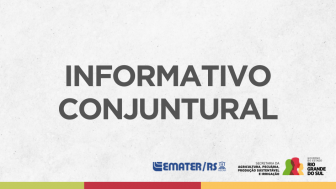 Informativo Conjuntural