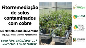 Fitorremediação de solos contaminados com cobre