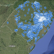 PLANTIOS FLORESTAIS RS EUCALIPTO