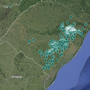 PLANTIOS FLORESTAIS RS ACACIA
