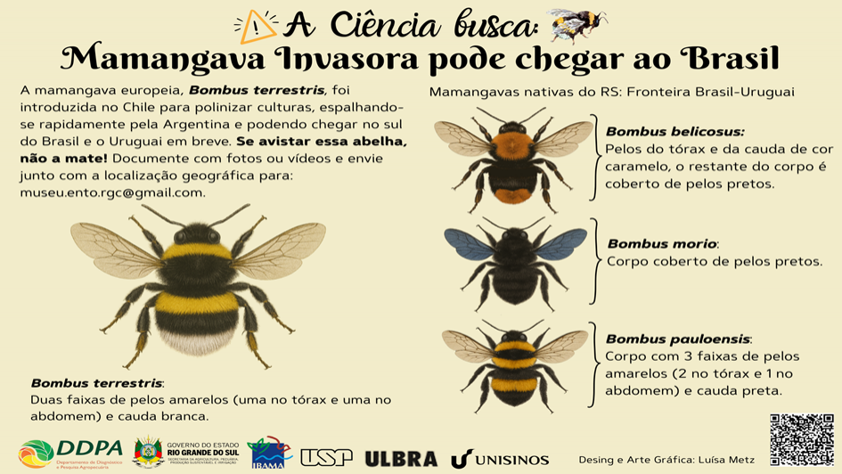 Atualizada Poster Mamangava invasora