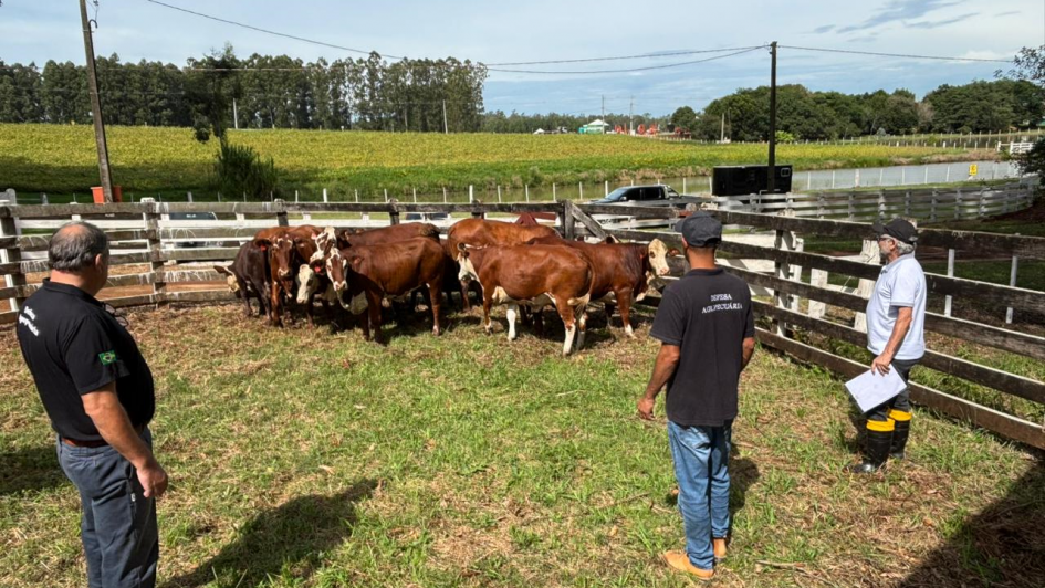 Servidores da Secretaria da Agricultura recepcionam animais na Expoagro Afubra 2026