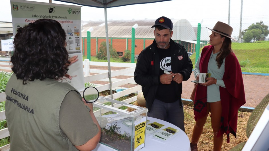 Pesquisadora Rovaina Doyle explica controle do carrapato bovino e divulga o biocarrapaticidograma
