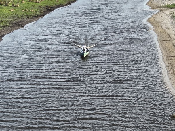 Equipes da Seapi e do ICMBio também utilizaram barcos para vigilância ativa na reserva