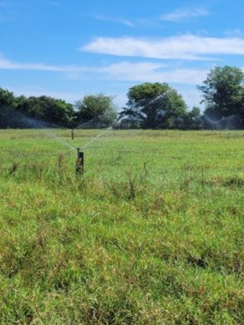 Dia de Campo abordar&aacute; irriga&ccedil;&atilde;o e manejo de pastagens em S&atilde;o Borja nesta sexta feira   foto Odacir Decol   extensionist