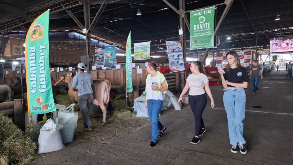 fenasul expoleite, em esteio