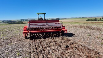 Trigo inicio plantio RS 21 5