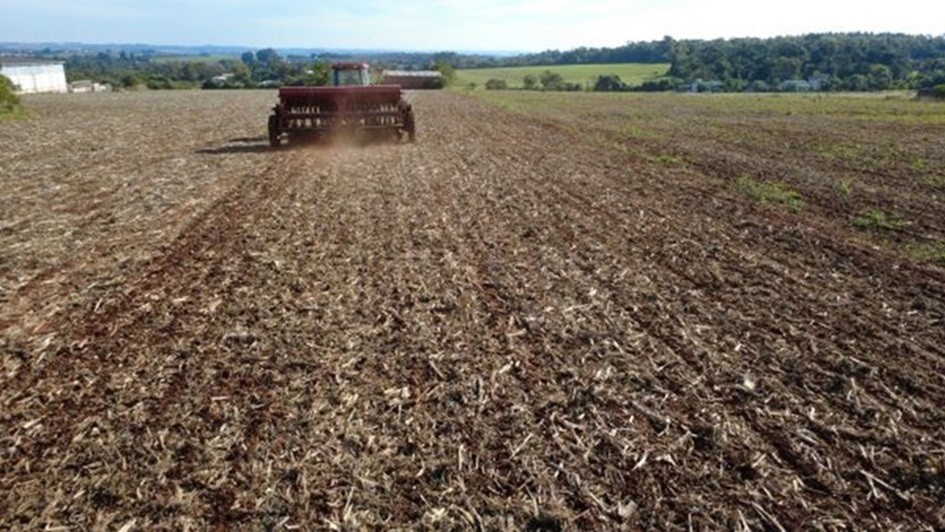 Trigo   plantio em Santa Rosa   foto Jos  Schafer   EmaterRS Ascar   RED